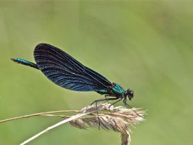 P8114414_2.jpg